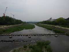 Along the Kamo River (2)