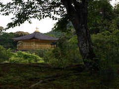 The Golden Pavilion at the Kinkakuji Temple (2)