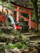At the Fushimi-Inari Shrine (11)