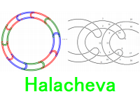 Halacheva