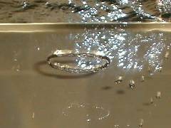 A toroidal bubble in water