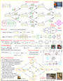 Khovanov Homology